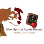 New Spirit 4 Aussie Rescue