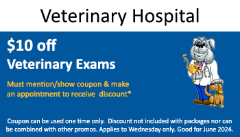 Vet Hospital – $10 off Exam with Mention of Ad