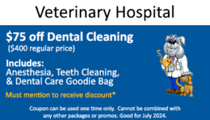 Vet Hospital – $75 off Dental