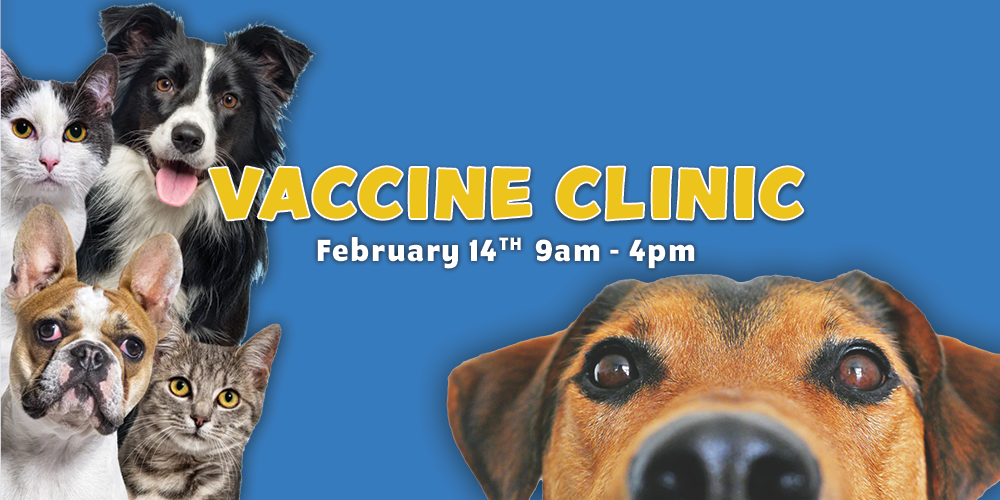 The Pet Doctor Vaccine Clinic