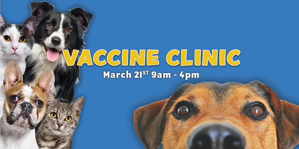 Vaccine Clinic March 2025