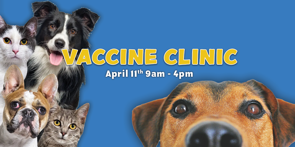 Vaccine Clinic April 2025